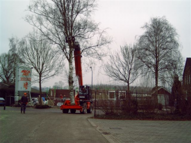 fotos bomen rooien 024